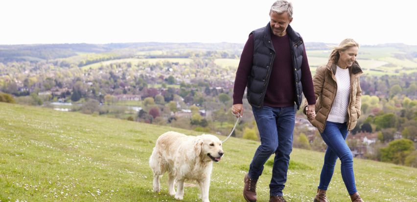 A married couple walking their dog on a grassy hill.